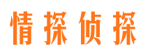 原平婚外情调查取证